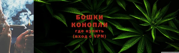 PSILOCYBIN Волосово